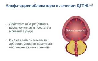 Какие препараты альфа-адреноблокаторы при простатите самые эффективные?