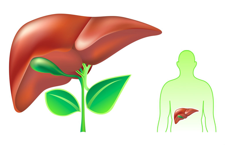 Лечения болезней желчного пузыря Заболеваниях желчного пузыря