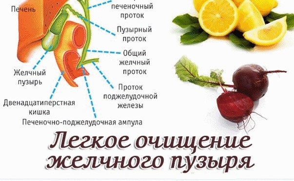 Основные правила чистки желчного пузыря Чистка желчного пузыря в домашних условиях