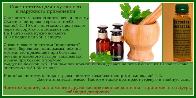 Сок чистотела Чистотел о полипов в желчном пузыре