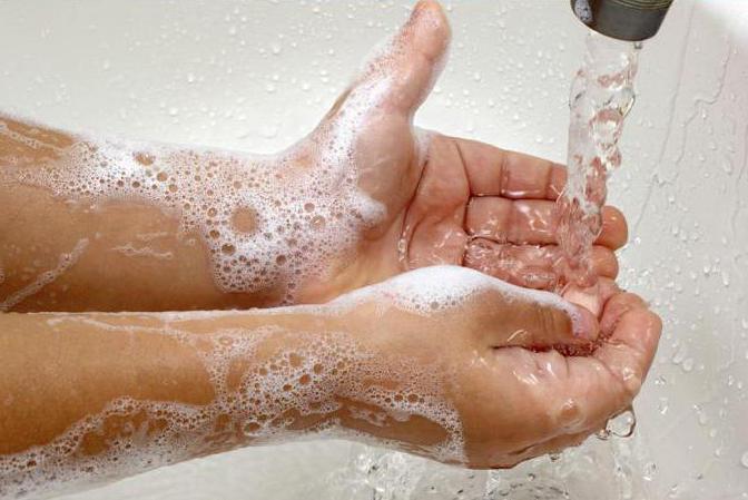 Профилактика лямблиоза Паразиты в желчном пузыре