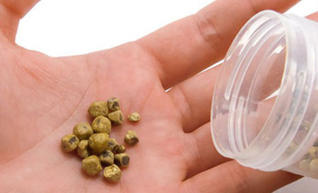 Как формируются конкременты? Кальцинирование желчных камней