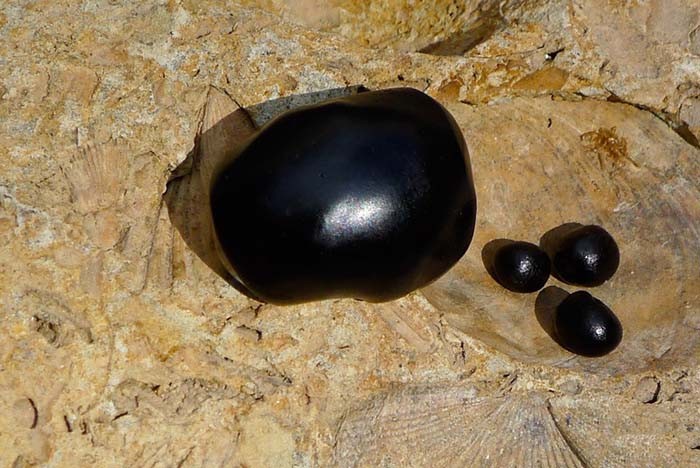 Рецепты на мумиё Мумиё от камней в желчном пузыре