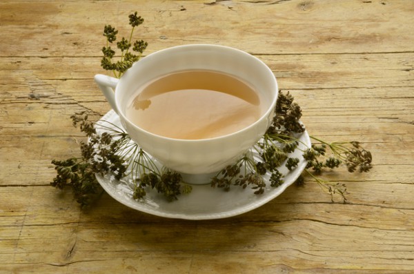 Лечение желчнокаменной болезни укропом Укроп при камнях в желчном пузыре