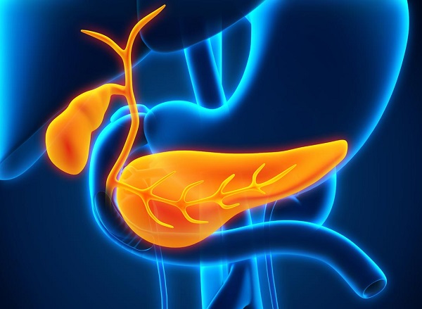 Как связаны между собой желчный пузырь и поджелудочная железа? Панкреатит после удаления желчного пузыря