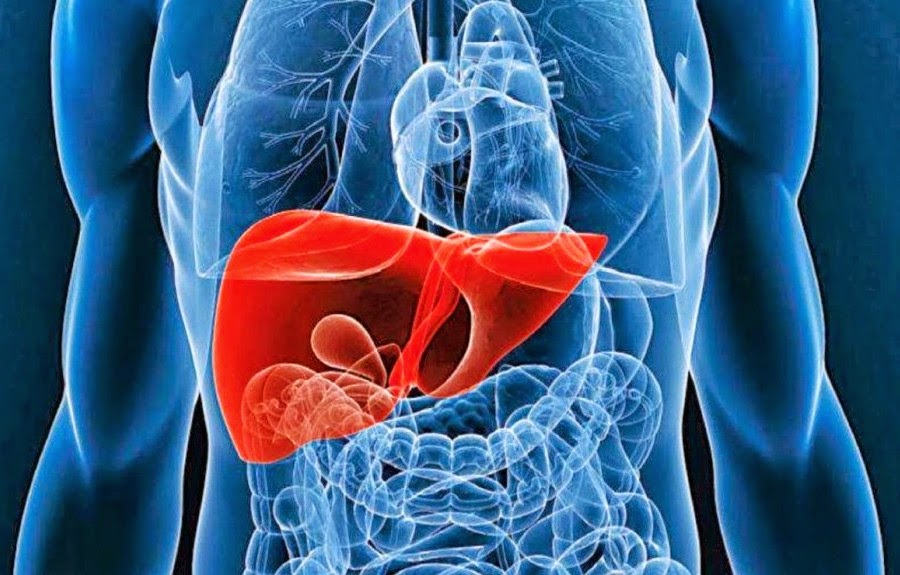 Нарушение роботы билиарной системы Слепое зондирование желчного пузыря в домашних условиях