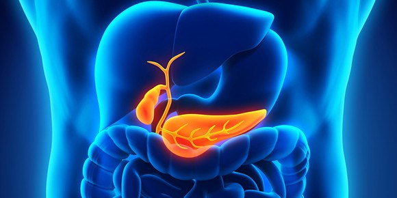 Что такое отключенный жёлчный пузырь? Сморщенный желчный пузырь