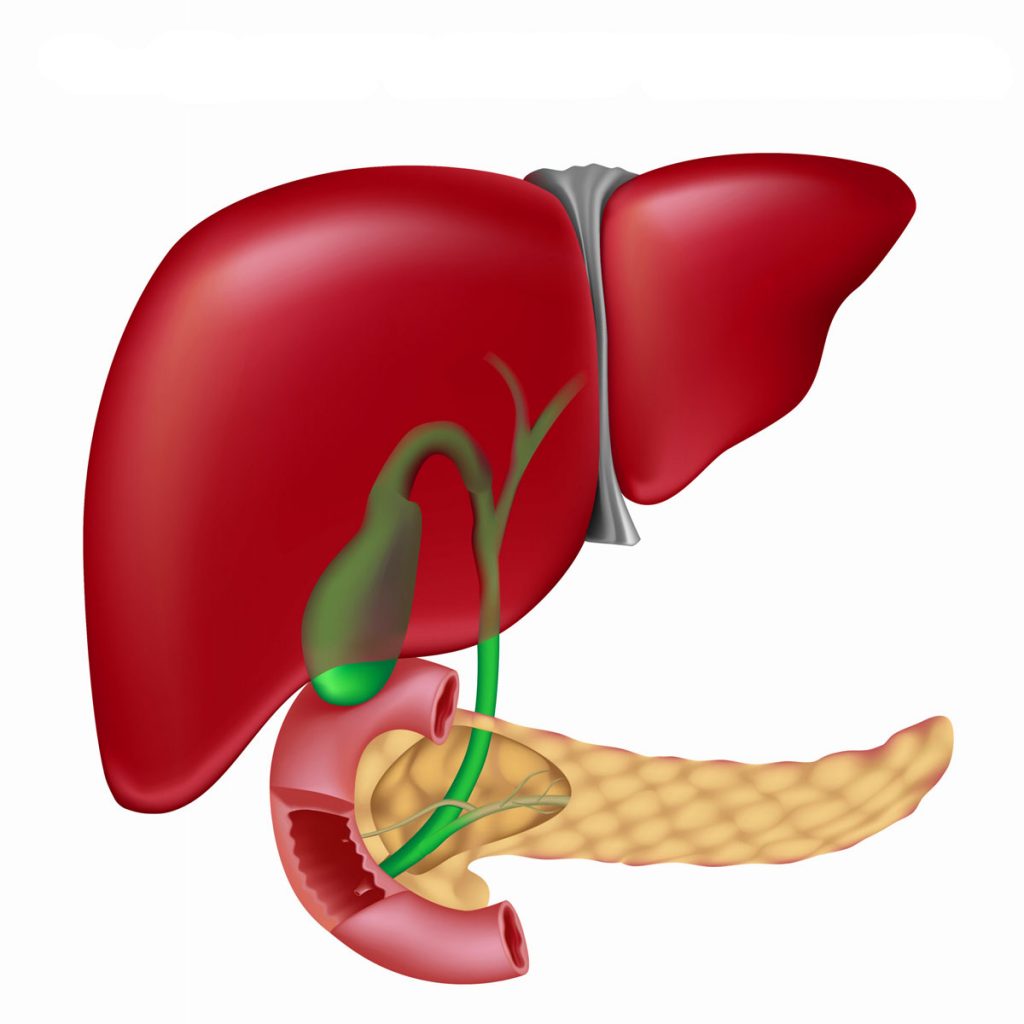 Проблемы с желчным пузырем Стенки желчного пузыря утолщены