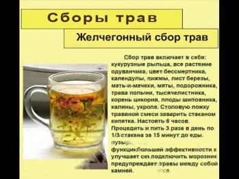 Травы при задержке желчи Травы при задержке желчи