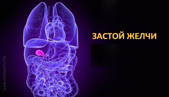 Заболевание желчного пузыря Холецистит застой желчи