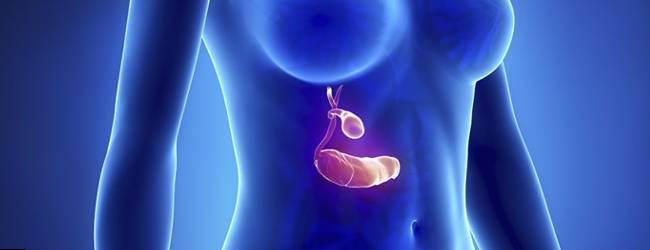 Механизм развития и основные причины этой болезни Холестероз желчного пузыря – что это такое?