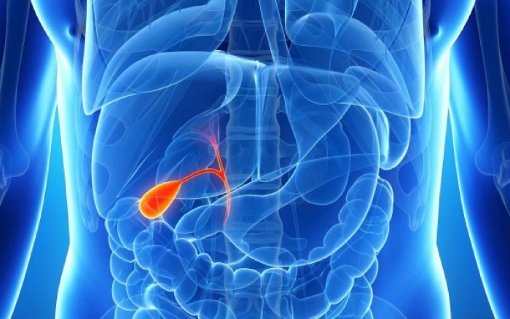 Патологии системы желчевыделения и желчевыведения Киста желчного пузыря