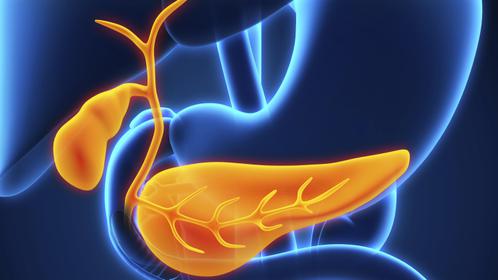 Дренаж после удаления желчного пузыря Трубка в желчном пузыре