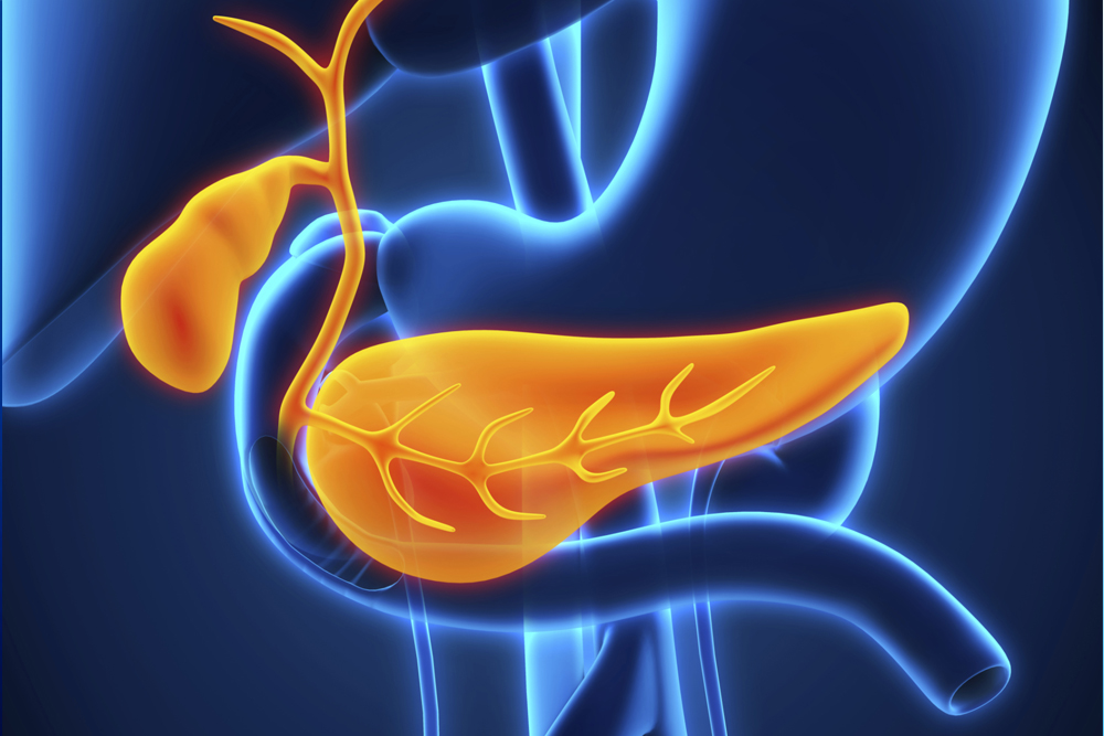 Последствия удаления желчного пузыря Чернослив после удаления желчного пузыря