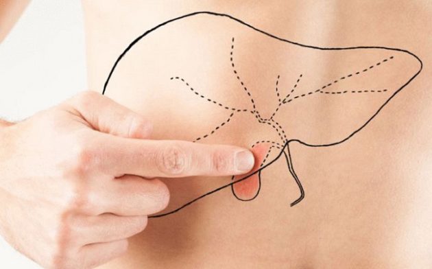 Какую функцию выполянет желчь? Боль в желчном пузыре