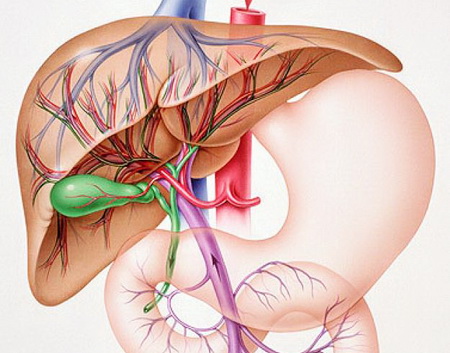 Основные причины болей Болезни желчного пузыря