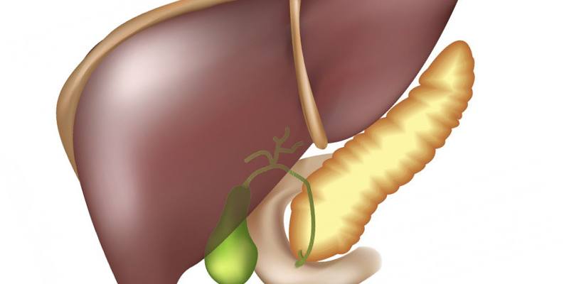 Какие симптомы указывают сгущение желчи? Диета при густой желчи в желчном пузыре