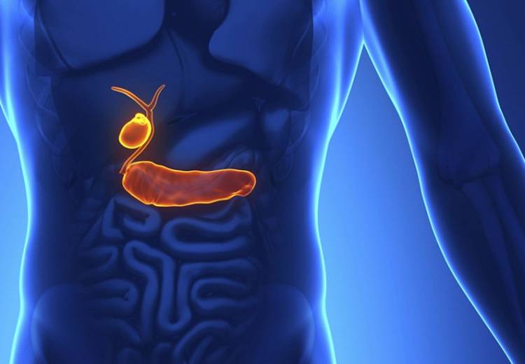 Развитие эмпиемы Эмпиема желчного пузыря – что это такое?