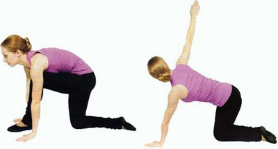 Гимнастика лежа на животе и на четвереньках Упражнения для желчного пузыря