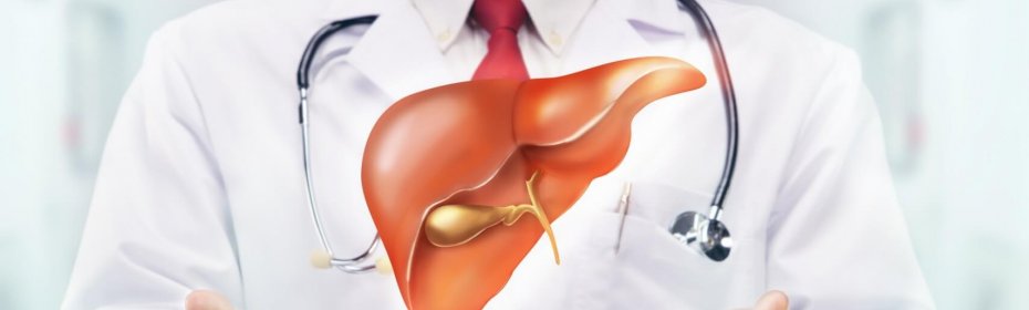 Из-за чего густеет желчь? Лечение густой желчи в желчном пузыре