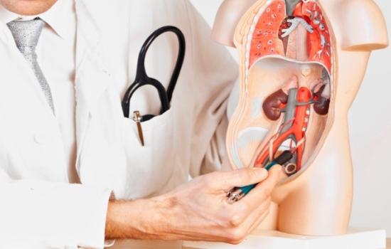 Как человеку определить у себя аденоматозные полипы? Аденомиоматоз желчного пузыря