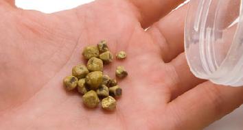 Увеличение или растягивание стенок органа Маленький желчный пузырь