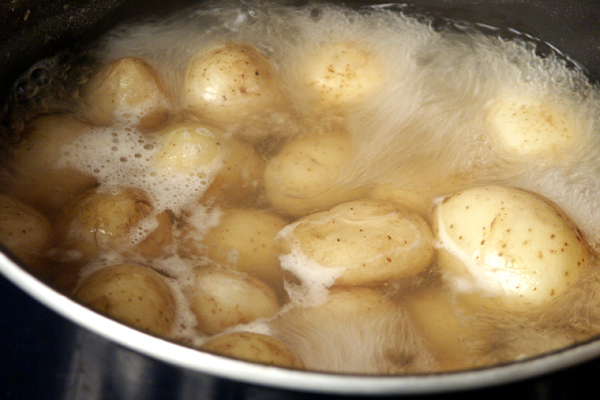 Народные методы для растворения желчных камней Травы, растворяющие камни в желчном пузыре