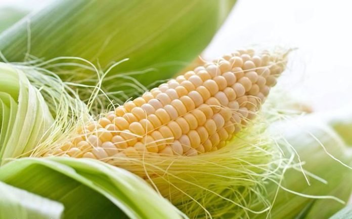 Народные средства при деформациях Деформация желчного пузыря