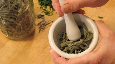 Народная медицина при полипах желчного пузыря Бессмертник при полипах желчного пузыря