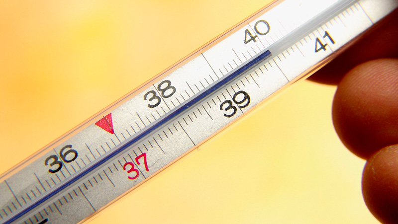 Осложнения при разрыве желчного пузыря Может ли желчный пузырь лопнуть?