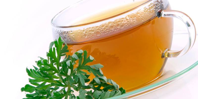 Применение полыни горькой при болезнях ЖКТ Полынь полипы желчный пузырь