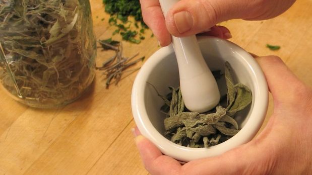 Иные формы применения чистотела Чистотел о полипов в желчном пузыре