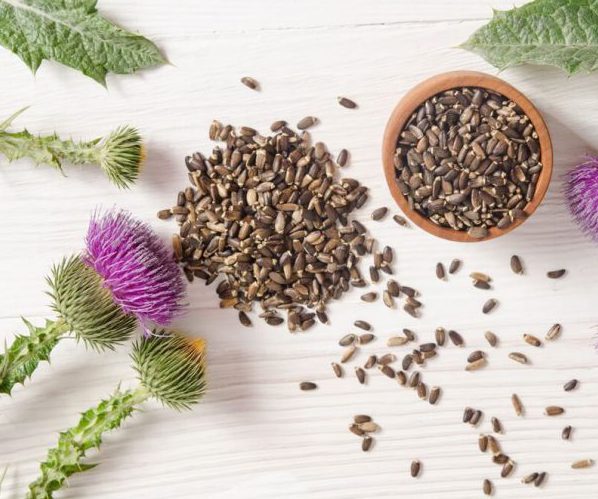 Противопоказания к применению расторопши Расторопша для желчного пузыря