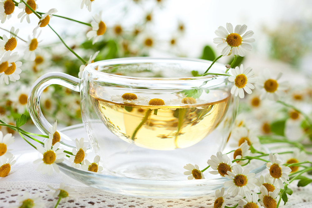 Особенности правильного питания Диета после удаления желчного пузыря