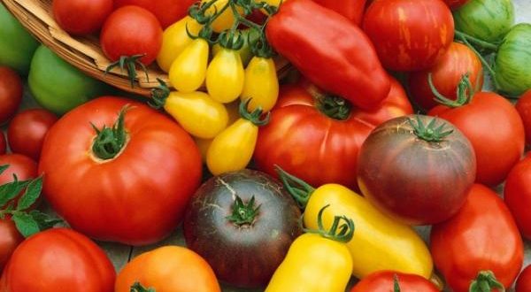 Что запрещается при желчнокаменном заболевании? Диета при камнях в желчном пузыре