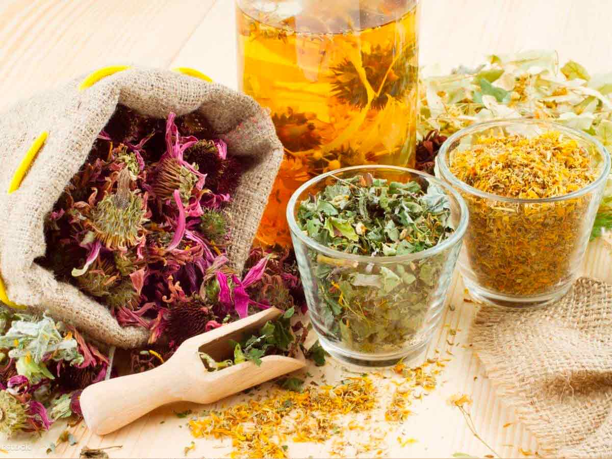 Фитотерапия при желчекаменной болезни Гомеопатия при желчнокаменной болезни