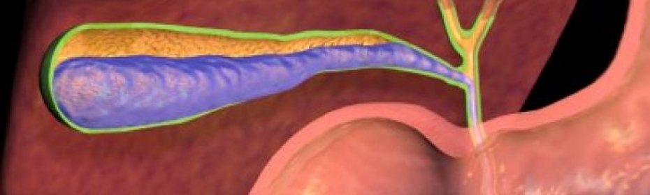 Дают ли инвалидность при удалении желчного пузыря? Дают ли инвалидность после удаления желчного пузыря?