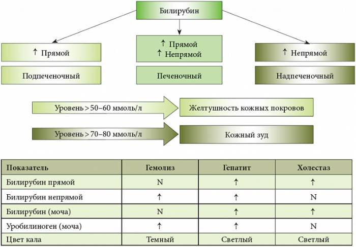 Виды холестаза Симптомы застоя желчи