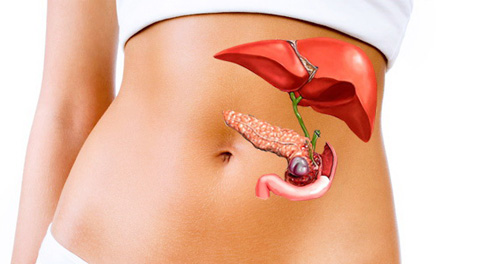 От чего может увеличиться желчный пузырь? Как уменьшить желчный пузырь?