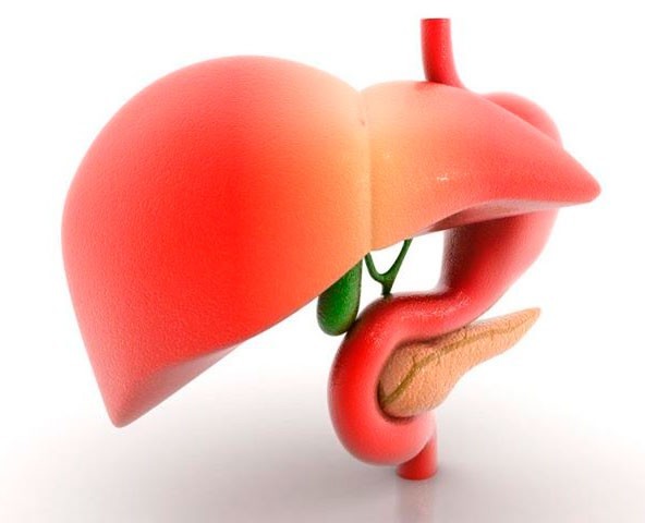 Как лечат перетяжку желчного пузыря? Диета при наличии песка в желчном пузыре