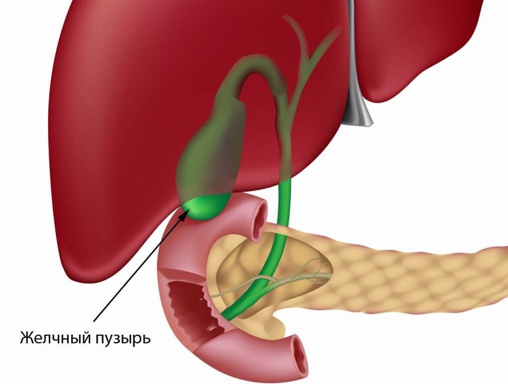 Защита печени Воспаление желчного пузыря