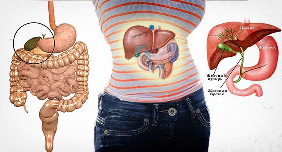 Почему образуется холестаз? Симптомы застоя желчи