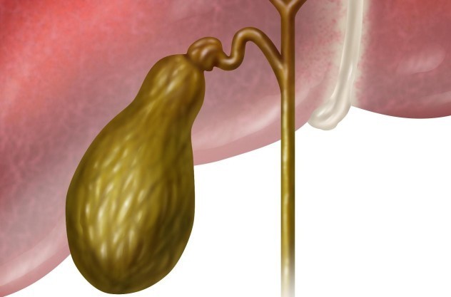 Почему начинает образовываться песок в желчном пузыре? Диета при наличии песка в желчном пузыре